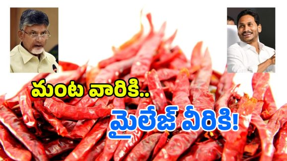 TDP vs YCP on Mirchi: మిర్చి ధరలపై కేంద్రం గుడ్ న్యూస్.. ఈ క్రెడిట్ జగన్ దేనా?