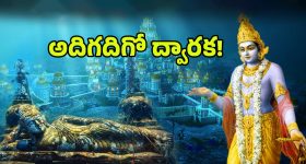 Tesla Cars India : భారత్ లో టెస్లా కార్లు గిట్టుబాటవుతాయా?.. మస్క్ కంపెనీకి ఇండియాలో గట్టి పోటీ