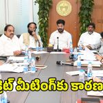 CM Revanth Reddy: సీఎం రేవంత్ అలర్ట్.. ఎమ్మెల్యేల సీక్రెట్ మీటింగ్‌లో ఏం జరిగిందంటే..