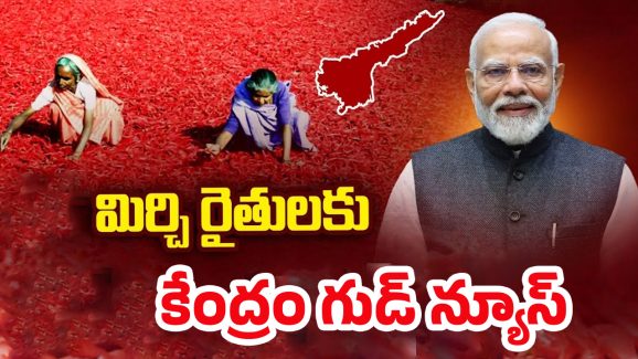 Central Govt: ఏపీ మిర్చీ రైతులకు మోదీ గుడ్ న్యూస్.. క్వింటాకు రూ.11,781 ధర