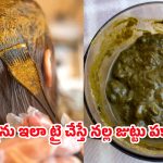 Henna Hair Dye: ఏవి పడితే వాటిని వాడకండి.. కెమికల్స్‌కు బదులుగా హెన్నాను ఇలా వాడితే తెల్లజుట్టు రానే రాదు