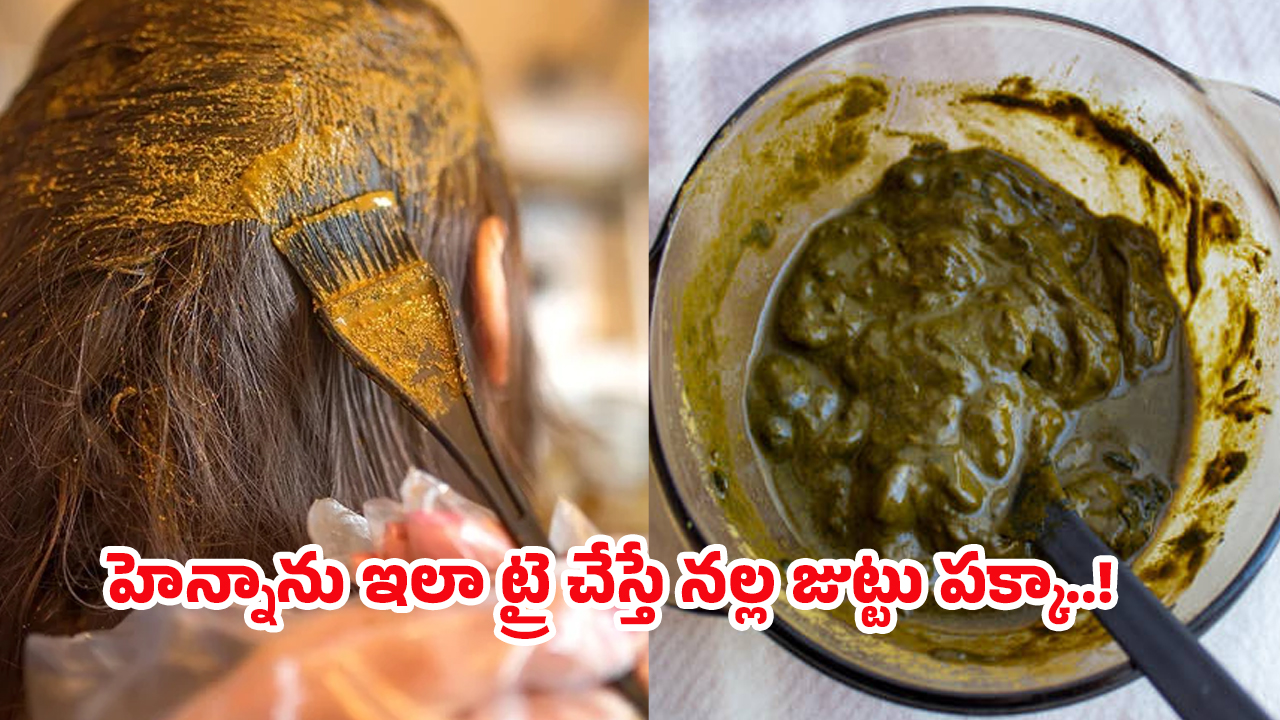 Henna Hair Dye: ఏవి పడితే వాటిని వాడకండి.. కెమికల్స్‌కు బదులుగా హెన్నాను ఇలా వాడితే తెల్లజుట్టు రానే రాదు