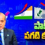 India vs Pakistan: ఇండియా దెబ్బకు.. పాక్ ప్రధాని ఓవరాక్షన్