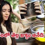 Mustard oil For White Hair: ఈ ఒక్క నూనెతో తెల్ల జుట్టుకి ఇలా చెక్ పెట్టండి?