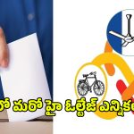 Municipal Chairperson Election: ఏపీలో హడావిడి.. కార్పొరేషన్లు, మున్సిపాలటీలకు హోరా హోరీగా ఎన్నికలు