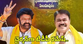 Municipal Chairperson Election: హిందూపురం మున్సిపల్ చైర్మన్ పదవి టీడీపీ కైవసం, ఛైర్మన్‌గా రమేష్ ఎన్నిక