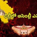 Delhi Assembly Election 2025: దేశ రాజధాని ఢిల్లీలో అసెంబ్లీ ఎన్నికలు.. కీలక స్థానాలు ఇవే..