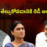 YS Jagan vs Vijayasai Reddy: జగన్‌తో సాయి రెడ్డి సమరానికి సిద్ధమా?