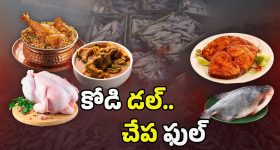 Bird Flu Effect: బర్డ్ ఫ్లూ ఎఫెక్ట్.. ఖాళీగా చికెన్ సెంటర్లు..