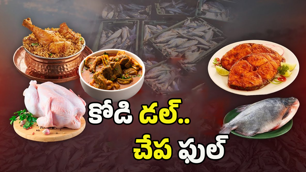 Bird Flu Effect: బర్డ్ ఫ్లూ ఎఫెక్ట్.. ఖాళీగా చికెన్ సెంటర్లు..