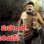 MLA Balakrishna: సొంతూరికి వెళ్లిన బాలయ్య.. అలా అడిగారని.. గ్రామస్థులపై ఫైర్..