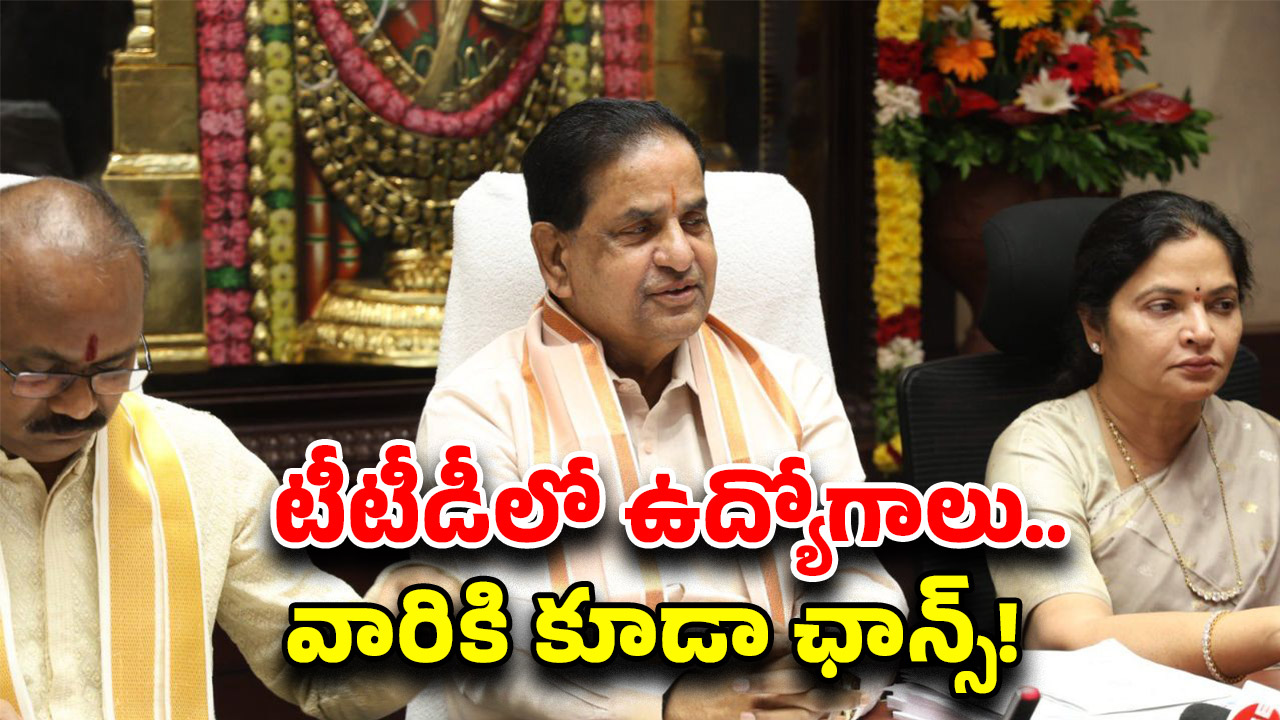 TTD BR Naidu Statement: తిరుమలలో ఆ భాగ్యం మీకు దక్కాలంటే.. ఇలా చేయండి