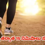 Walking After Eating: తిన్న తర్వాత 15 నిమిషాలు నడిస్తే.. మతిపోయే లాభాలు