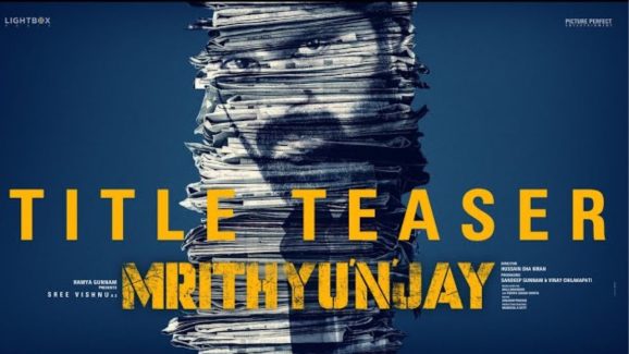 SV 17: శ్రీ విష్ణు కొత్త మూవీ టైటిల్ ఫిక్స్.. లుక్ తోపాటు ఆకట్టుకుంటున్న టీజర్..!