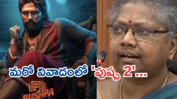 Pushpa2 : ‘పుష్ప 2’ పిల్లలను చెడగొట్టింది.. సెన్సార్ బోర్డు పై హెడ్ మాస్టర్ ఫైర్..