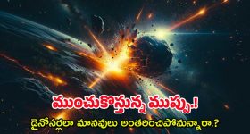 TDP vs YCP: మిర్చి ఘాటుకు.. హీటెక్కిన పొలిటికల్.. లైన్ దాటేసిన విమర్శలు..