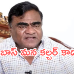 Babu Mohan : బిగ్ బాస్ పై బాబు మోహన్ షాకింగ్ కామెంట్స్..బాబోయ్ బూతులే..