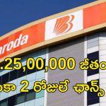 Bank of Baroda: బ్యాంక్ ఆఫ్ బరోడాలో ఉద్యోగాలు.. రూ.25,00,000 జీతం భయ్యా.. డోంట్ మిస్..