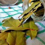 Bay leaves: బిర్యానీ ఆకు తినడం ప్రమాదకరమా? ఎలాంటి సమస్యలు వస్తాయి