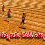 PM Kisan Scheme 2025: ఈ జాబితాలో మీ పేరు లేదా.. మీకు పీఎం కిసాన్ అందనట్లే.. ఓ సారి చెక్ చేసుకోండి