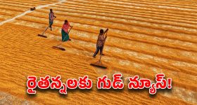 PM Kisan Scheme 2025: ఈ జాబితాలో మీ పేరు లేదా.. మీకు పీఎం కిసాన్ అందనట్లే.. ఓ సారి చెక్ చేసుకోండి