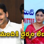 Sharmila on YS Jagan: దమ్ముంటే ఆ పని చెయ్యండి.. జగన్‌కు చెల్లి షర్మిళ సవాల్