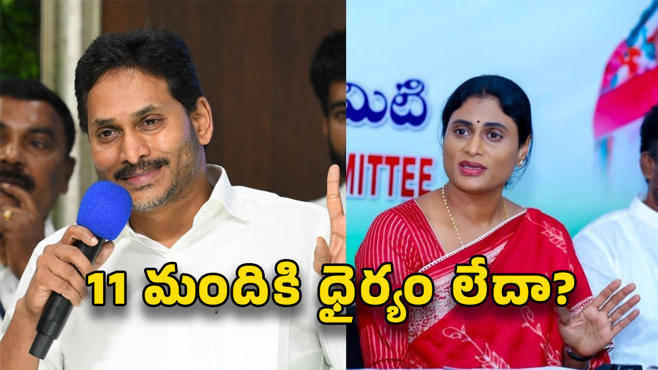 Sharmila on YS Jagan: దమ్ముంటే ఆ పని చెయ్యండి.. జగన్‌కు చెల్లి షర్మిళ సవాల్