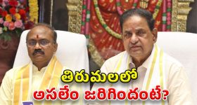 BR Naidu: తిరుమలలో మళ్లీ తోపులాట.. అసలు నిజమిదే!