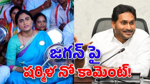 YS Sharmila on TDP: 50 లక్షల మంది ఎదురు చూపుల్లో.. ఆ స్కీమ్ సంగతేంటి?