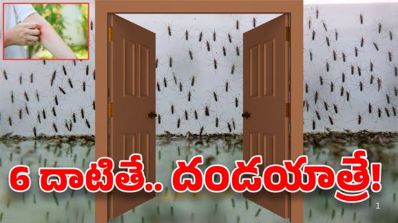 Mosquitos In Hyderabad: మణికొండలో దోమల దండు.. ఆ దేవుడే కాపాడాలట..
