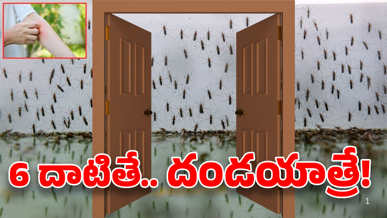 Mosquitos In Hyderabad: మణికొండలో దోమల దండు.. ఆ దేవుడే కాపాడాలట..