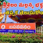 Srisailam Temple: శ్రీశైలంలో బ్రహ్మోత్సవాలు ప్రారంభం.. ఆ సేవలు రద్దు