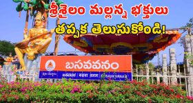 Srisailam Temple: శ్రీశైలంలో బ్రహ్మోత్సవాలు ప్రారంభం.. ఆ సేవలు రద్దు