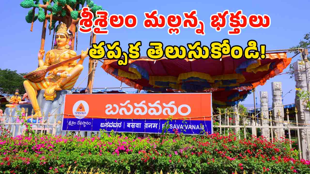 Srisailam Temple: శ్రీశైలంలో బ్రహ్మోత్సవాలు ప్రారంభం.. ఆ సేవలు రద్దు