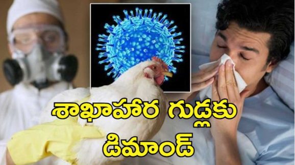 Bird Flu In Humans : అక్కడ 69 మందికి బర్డ్ ఫ్లూ.. మనుషులకు ఈ వైరస్ సోకితే ఏమవుతుంది?