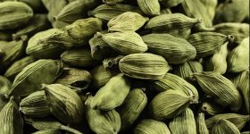 Diabetes Foods: మధుమేహం అదుపులో పెట్టాలనుకుంటున్నారా? రోజుకు ఒక యాలకులు తినండి చాలు