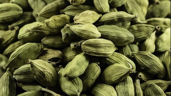 Diabetes Foods: మధుమేహం అదుపులో పెట్టాలనుకుంటున్నారా? రోజుకు ఒక యాలకులు తినండి చాలు