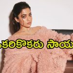 Rashmika Mandanna: బాలీవుడ్ హీరోకు తెలుగు పాఠాలు నేర్పిస్తున్న రష్మిక.. పాపం చాలా కష్టపడుతోందిగా.!