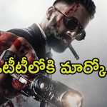 Marco OTT: థియేటర్లలో సంచలనం సృష్టించిన ‘మార్కో’.. ఇప్పుడు ఓటీటీలోకి..