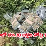 Rs.500 Notes : పొలంలో నోట్ల కట్టలు.. షాకైన రైతులు, ఇంతలో ఊహించని ట్విస్ట్