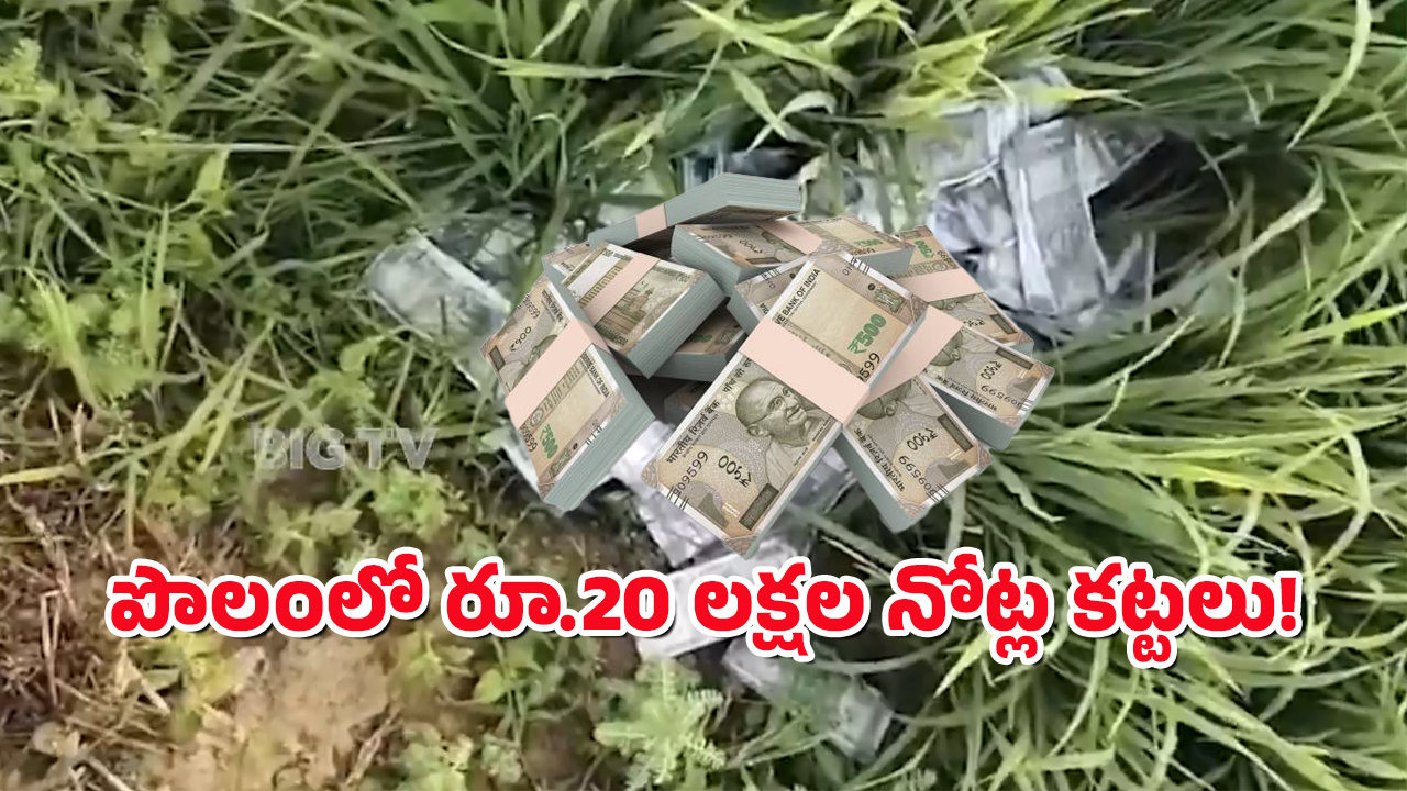 Rs.500 Notes : పొలంలో నోట్ల కట్టలు.. షాకైన రైతులు, ఇంతలో ఊహించని ట్విస్ట్