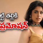 Faria Abdullah : ఫరియా మరింత పెద్దది అయిందిగా… ఇక శేఖర్ మాస్టర్‌తో…