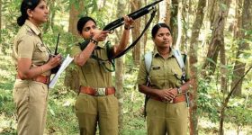 Forest Department: నిరుద్యోగులకు గుడ్ న్యూస్.. త్వరలోనే ఫారెస్ట్ డిపార్ట్‌మెంట్‌లో ఉద్యోగాలు.. 6నెలల్లో ఉద్యోగంలో ఉంటారు..