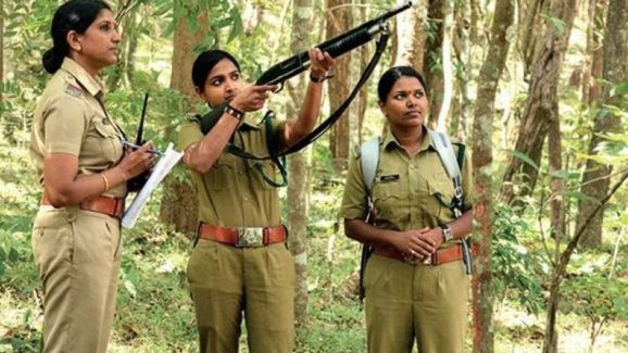 Forest Department: నిరుద్యోగులకు గుడ్ న్యూస్.. త్వరలోనే ఫారెస్ట్ డిపార్ట్‌మెంట్‌లో ఉద్యోగాలు.. 6నెలల్లో ఉద్యోగంలో ఉంటారు..