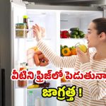 Fridge: పొరపాటున కూడా వీటిని ఫ్రిజ్‌లో పెట్టొద్దు తెలుసా ?