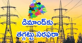 Tips For White Hair: ఇలా చేస్తే.. తెల్ల జుట్టు రమ్మన్నా రాదు