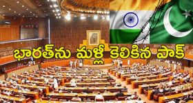 Kashmir Plebiscite Pakistan: కాశ్మీర్‌ అంశంపై మరోసారి పాకిస్తాన్ లొల్లి.. భారతభూభాగంలో ప్రజాభిప్రాయ సేకరణకు డిమాండ్