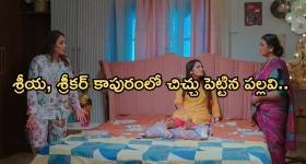 Elephant Attack: అన్నమయ్య జిల్లాలో ఏనుగుల బీభత్సం.. ముగ్గురు మృతి