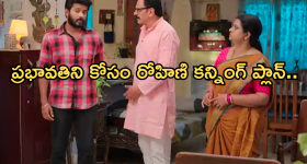 Bhupesh Subbarami Reddy: అబ్బాయ్ ఆశలు నెరవేరతాయా? బలి పశువు అవుతారా?