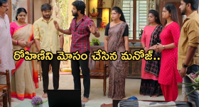 Mustard oil For White Hair: ఈ ఒక్క నూనెతో తెల్ల జుట్టుకి ఇలా చెక్ పెట్టండి?